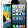 Apple 蘋果 iPhone 5（16G）3G（GSM/WCDMA）
