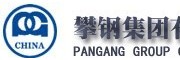 攀枝花鋼鐵（集團）公司