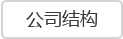 公司結(jié)構(gòu)