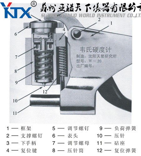 韋氏結果圖.jpg